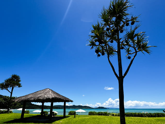 石垣島リトリート 現在ご案内できる枠について