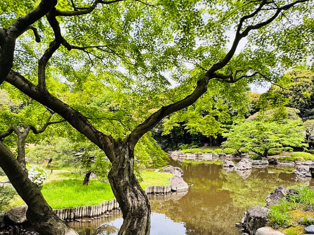 歩くことが 祈りになる日